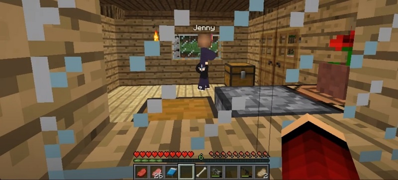 Jenny Mod Minecraft 9