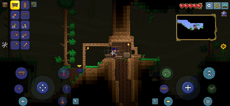 Terraria 9